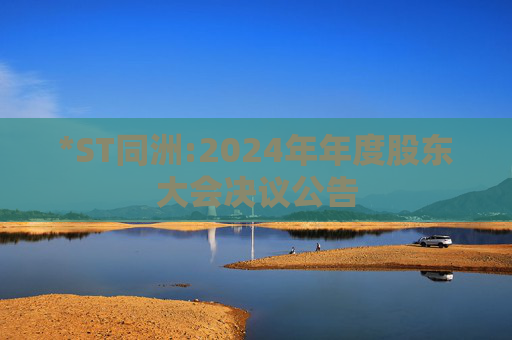 *ST同洲:2024年年度股东大会决议公告