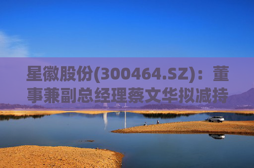 星徽股份(300464.SZ)：董事兼副总经理蔡文华拟减持20.25万股