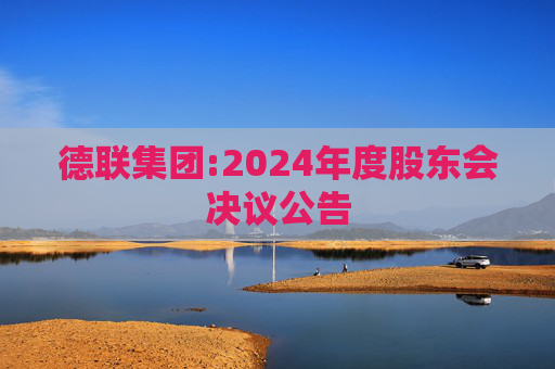 德联集团:2024年度股东会决议公告