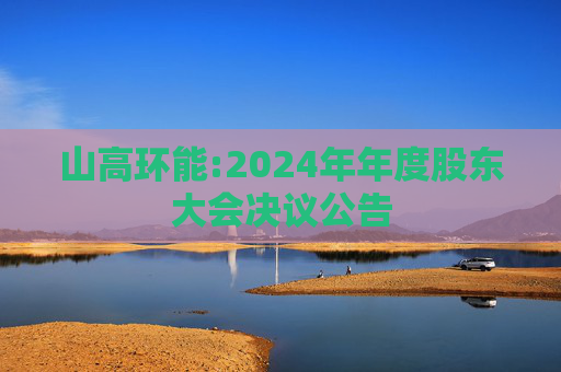 山高环能:2024年年度股东大会决议公告