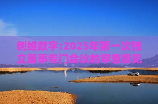 创维数字:2025年第一次独立董事专门会议的审查意见