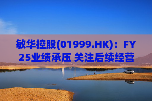 敏华控股(01999.HK)：FY25业绩承压 关注后续经营改善