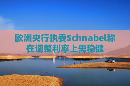 欧洲央行执委Schnabel称在调整利率上需稳健  第1张