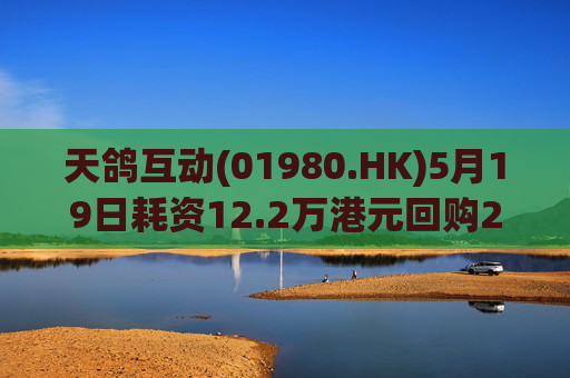 天鸽互动(01980.HK)5月19日耗资12.2万港元回购20万股  第1张