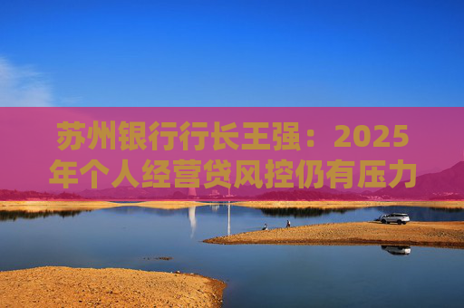 苏州银行行长王强：2025年个人经营贷风控仍有压力，但不会造成冲击
