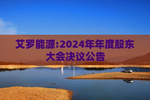 艾罗能源:2024年年度股东大会决议公告