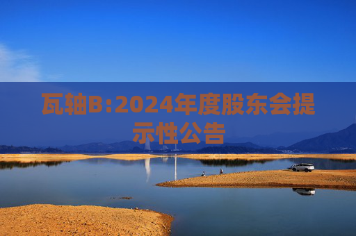 瓦轴B:2024年度股东会提示性公告