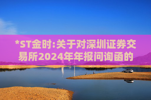 *ST金时:关于对深圳证券交易所2024年年报问询函的回复