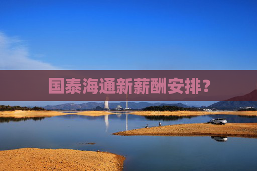 国泰海通新薪酬安排？