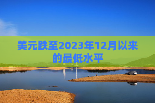 美元跌至2023年12月以来的最低水平