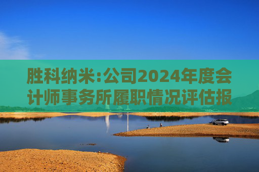 胜科纳米:公司2024年度会计师事务所履职情况评估报告