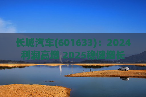 长城汽车(601633)：2024利润高增 2025稳健增长  第1张