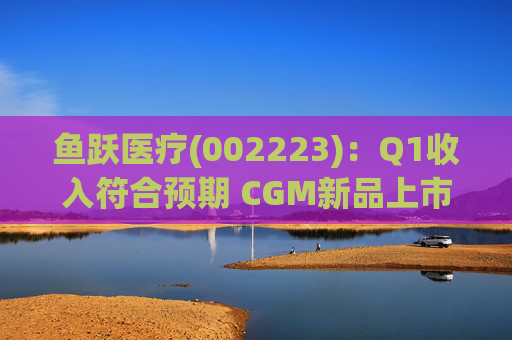 鱼跃医疗(002223)：Q1收入符合预期 CGM新品上市丰富增长动能