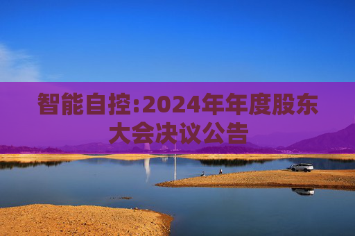 智能自控:2024年年度股东大会决议公告