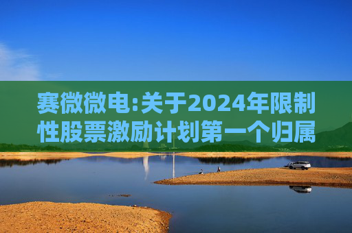 赛微微电:关于2024年限制性股票激励计划第一个归属期归属条件成就的公告  第1张