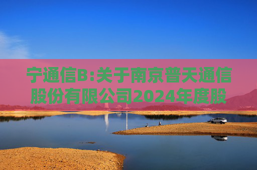 宁通信B:关于南京普天通信股份有限公司2024年度股东大会的法律意见书  第1张