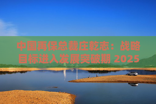 中国再保总裁庄乾志：战略目标进入发展突破期 2025年非常关键