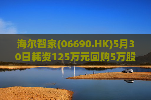 海尔智家(06690.HK)5月30日耗资125万元回购5万股A股