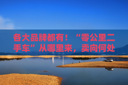 各大品牌都有！“零公里二手车”从哪里来，卖向何处，影响有多大？