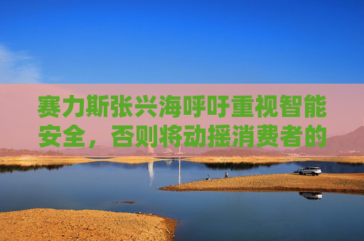 赛力斯张兴海呼吁重视智能安全，否则将动摇消费者的信心