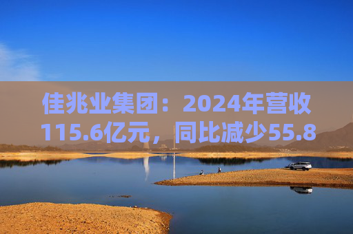 佳兆业集团：2024年营收115.6亿元，同比减少55.8%