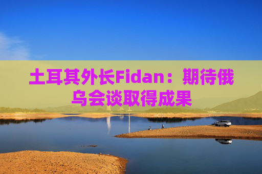 土耳其外长Fidan：期待俄乌会谈取得成果