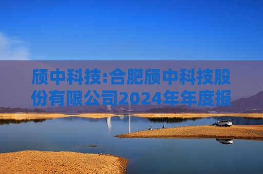 颀中科技:合肥颀中科技股份有限公司2024年年度报告