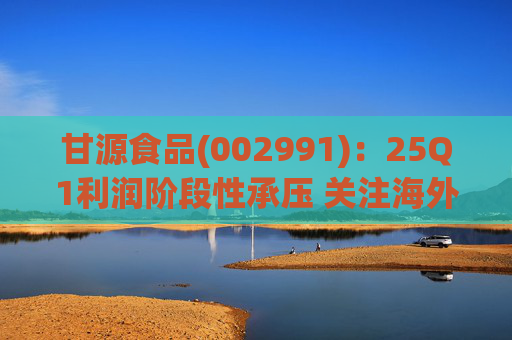 甘源食品(002991)：25Q1利润阶段性承压 关注海外市场突破