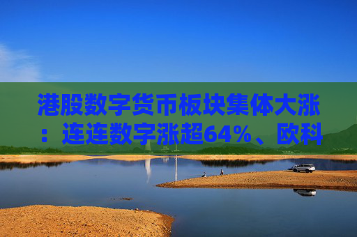 港股数字货币板块集体大涨：连连数字涨超64%、欧科云链涨超41%