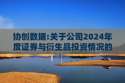 协创数据:关于公司2024年度证券与衍生品投资情况的专项报告