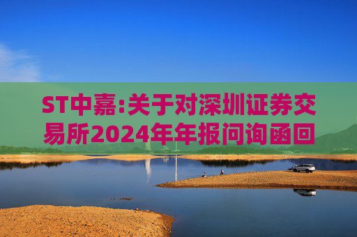 ST中嘉:关于对深圳证券交易所2024年年报问询函回复的公告