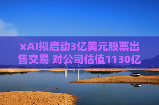 xAI拟启动3亿美元股票出售交易 对公司估值1130亿美元