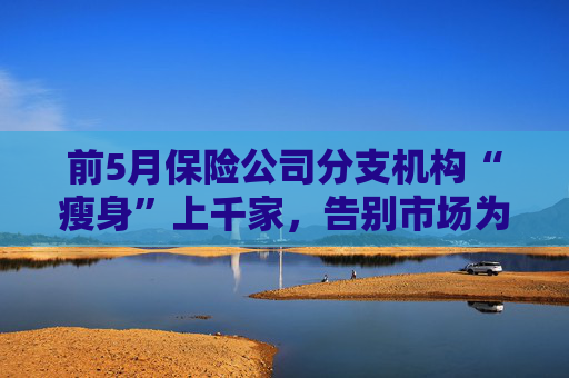 前5月保险公司分支机构“瘦身”上千家，告别市场为哪般