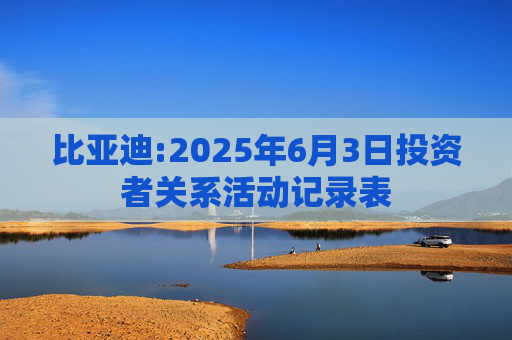 比亚迪:2025年6月3日投资者关系活动记录表