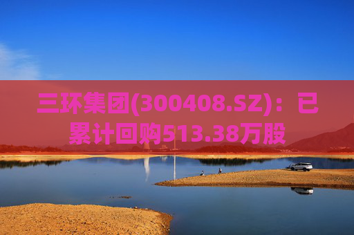 三环集团(300408.SZ)：已累计回购513.38万股
