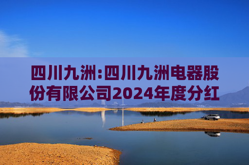 四川九洲:四川九洲电器股份有限公司2024年度分红派息实施公告  第1张