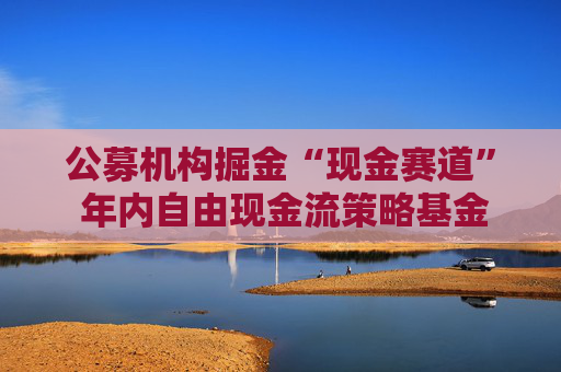 公募机构掘金“现金赛道” 年内自由现金流策略基金募资近150亿元