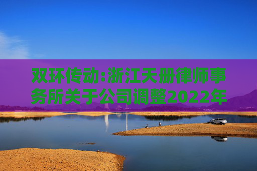 双环传动:浙江天册律师事务所关于公司调整2022年股票期权激励计划行权价格的法律意见书