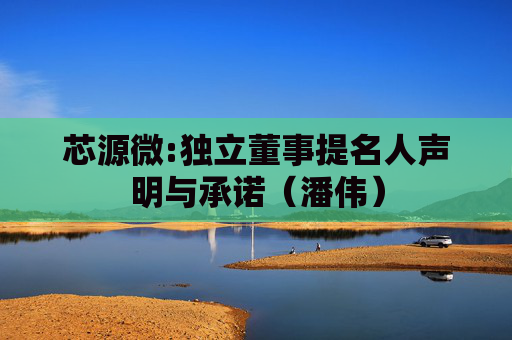 芯源微:独立董事提名人声明与承诺（潘伟）