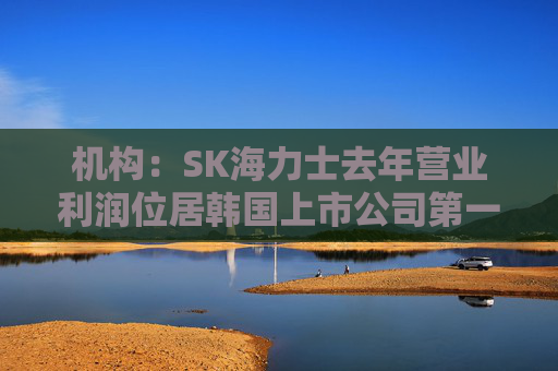 机构：SK海力士去年营业利润位居韩国上市公司第一，首次超过三星电子