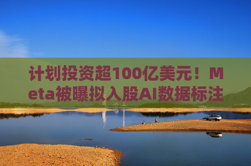 计划投资超100亿美元！Meta被曝拟入股AI数据标注公司  第1张