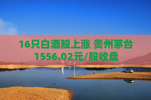 16只白酒股上涨 贵州茅台1556.02元/股收盘
