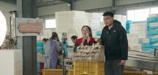 一起劈开这片海：度小满见证乳山百亿牡蛎产业的女性微光