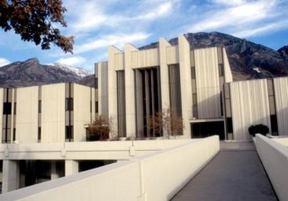 如何建造适合孔雀生活的环境？建造这种环境需要哪些材料和设施？