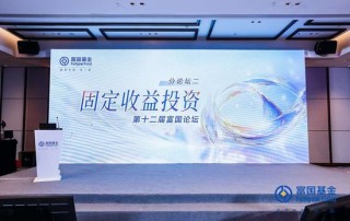 富国基金张育浩：内需与政策对冲成关键 大类资产配置择势而行