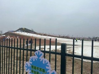 【申万宏源研究春节见闻】江苏阜宁过年记：从数据到烟火的观察