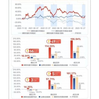 好大胆！浦银安盛基金这么宣传不违规吗？