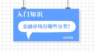 如何明晰金融市场现象？此类现象对投资有何影响？