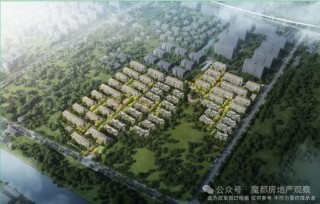 上海郊区惊现“积分盘” 信达捡漏成功