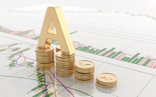 如何认识基金主题的含义？基金主题对投资决策有何作用？